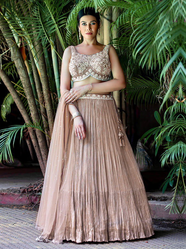 Stunning Crushed Gown With Embroidered Choli in Beige