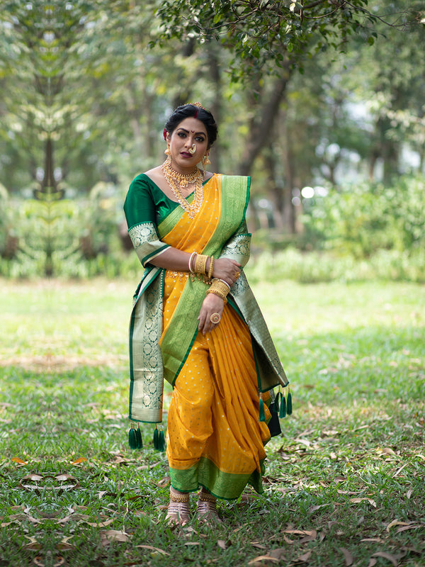 Kajal Kate in Yellow Silk Navari Saree